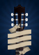 headstock guitar