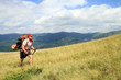 Summer hiking in the mountains.