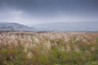 Peak District scene