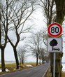 Eine Allee