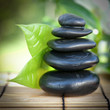 Foto: Wellness Wellness