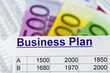 Business plan