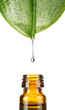 Herbal medicine