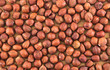 Surface covered with hazelnuts