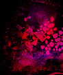 Background Colour Texture