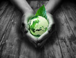 green world in the heart hand - grass background
