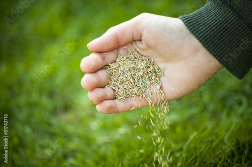 Photo: Hand planting grass seeds Hand planting grass seeds