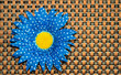 Blue flower on textured background