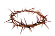 Crown of thorns