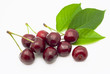 Foto: Ripe, juicy cherries on a white background Ripe, juicy cherries on a white background
