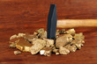 Golden nuggets with hummer on wooden background