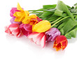 Beautiful tulips in bouquet isolated on white