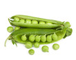 Foto: Green peas in stryuchka isolated on the white Green peas in stryuchka isolated on the white