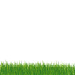 Vektor: gras gras