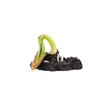 germination d'une graine