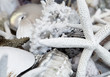 Muschelsammlung