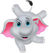 Cute elephant circus