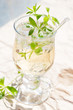 Foto: Maibowle mit frischem Waldmeister Maibowle mit frischem Waldmeister