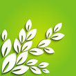 Summer  background with paper leaves