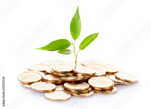 Photo: Gold coins. Gold coins.