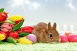 Baby Kaninchen mit Blumen und Ostereiern