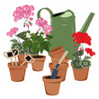 potted flowers and watering can