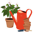 flower room and watering