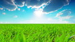 green field and cloudy sky