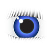 Auge