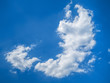 Photo: blue sky blue sky