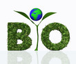 bio word with a plant and the world