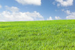 verte campagne