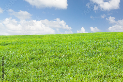Photo: verte campagne verte campagne