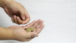 counting gold coin