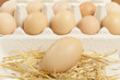 chicken egg