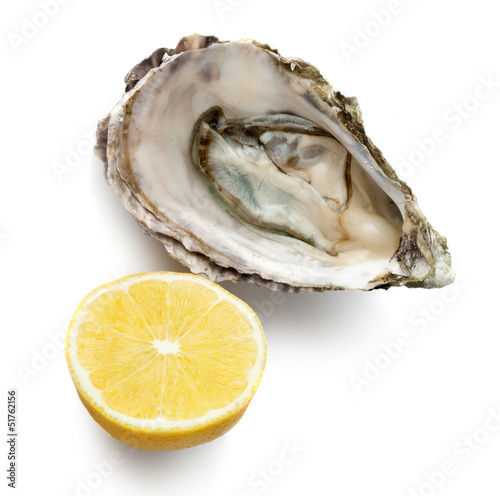 Photo: Oyster and lemon on white background Oyster and lemon on white background