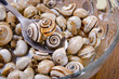 Photo: Snails texture Snails texture