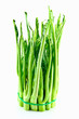 Kale close up on white background