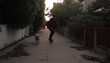 Caucasian skateboarder skating down residential walkway with dog
