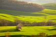 Countryside, San Quirico d´Orcia, Tuscany, Italy