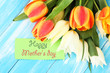 Beautiful white and orange tulips on color wooden background