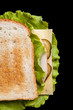 sandwich with cheese and cucumber isolated on black