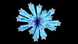 Star Burst with Alpha Channel