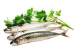 raw mackerel