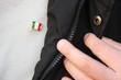 Photo: italian pin italian pin