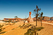 E.T. Bryce Canyon