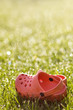 Rubber sandals in the grass