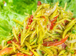 Close  up view home made Thai mango fruit salad, Somtam.