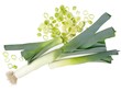 Photo: leeks leeks
