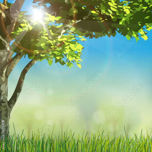 Vector: grass nature with sun grass nature with sun